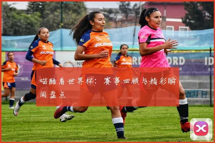 喵酷看世界杯：赛事回顾与精彩瞬间盘点