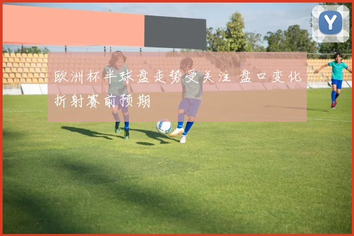 欧洲杯半球盘走势受关注 盘口变化折射赛前预期