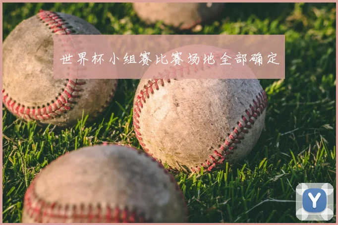 世界杯小组赛比赛场地全部确定