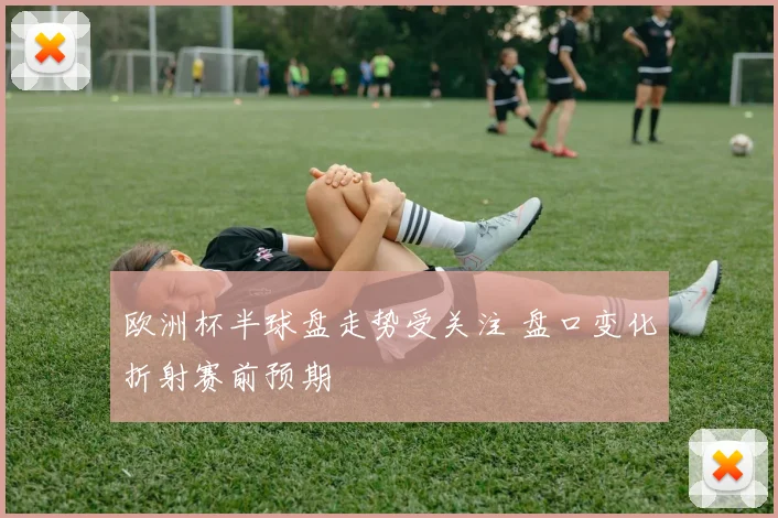 欧洲杯半球盘走势受关注 盘口变化折射赛前预期