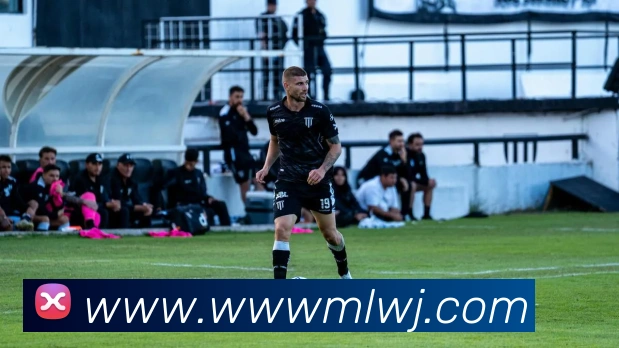 世界杯官方入口平台生态图