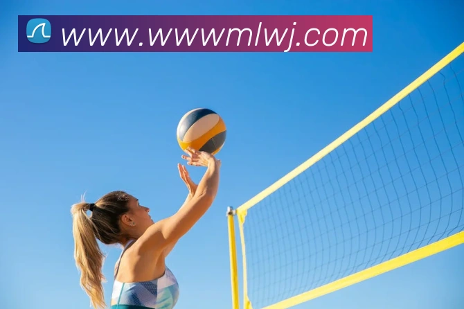 世界杯官方入口APP 封面图